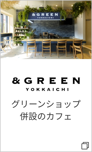 &GREEN YOKKAICHI